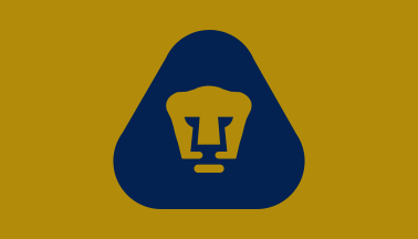 [Pumas golden flag]